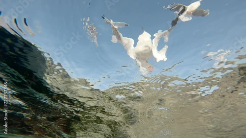 Underwater view of seagulls fly and land on the water in coastal area, on blue sky background, Bottom view, Slow motion, Close up photo