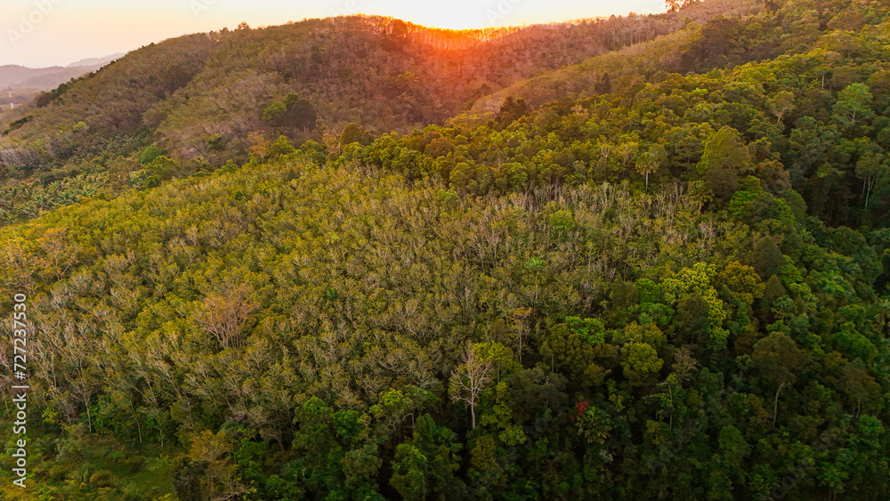Aerial view forest sunset. Top view jungle mountain travel with atmosphere evening. Drone nature photography for background, wallpaper, feeling freedom, relax and holiday trip, summer vacation 