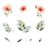 Peach pink, floral and leaves watercolor vector pack