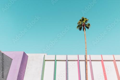 Building with colorful stripes and a palm tree in Palm Springs photo
