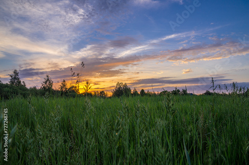 sunset over the field