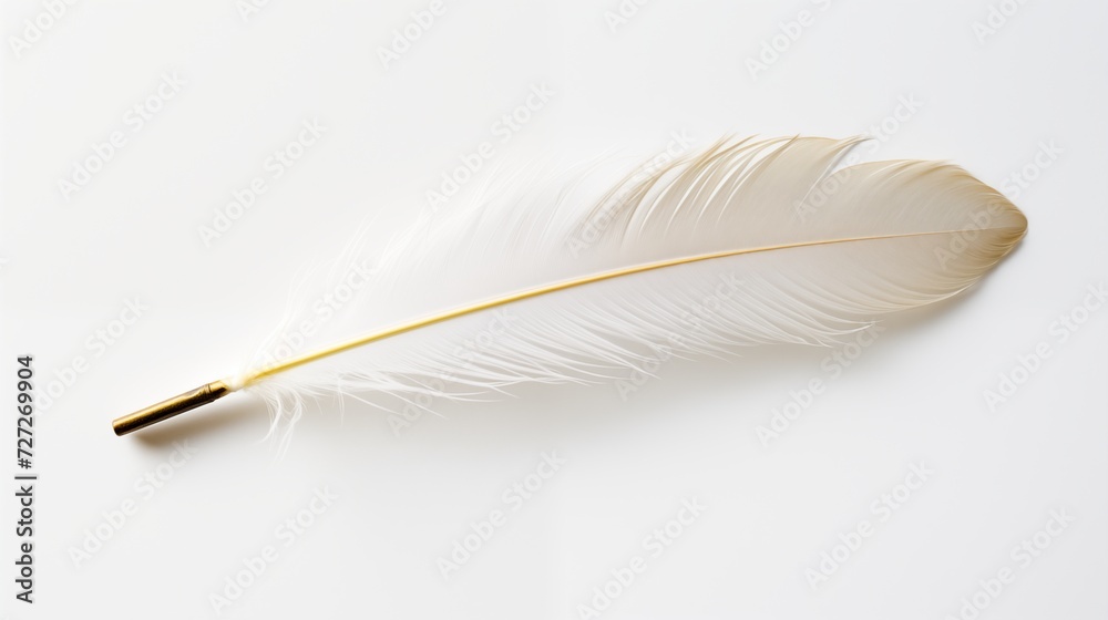 A single white feather quill pen placed on a clean white surface A single white feather quill pen placed on a clean white surface