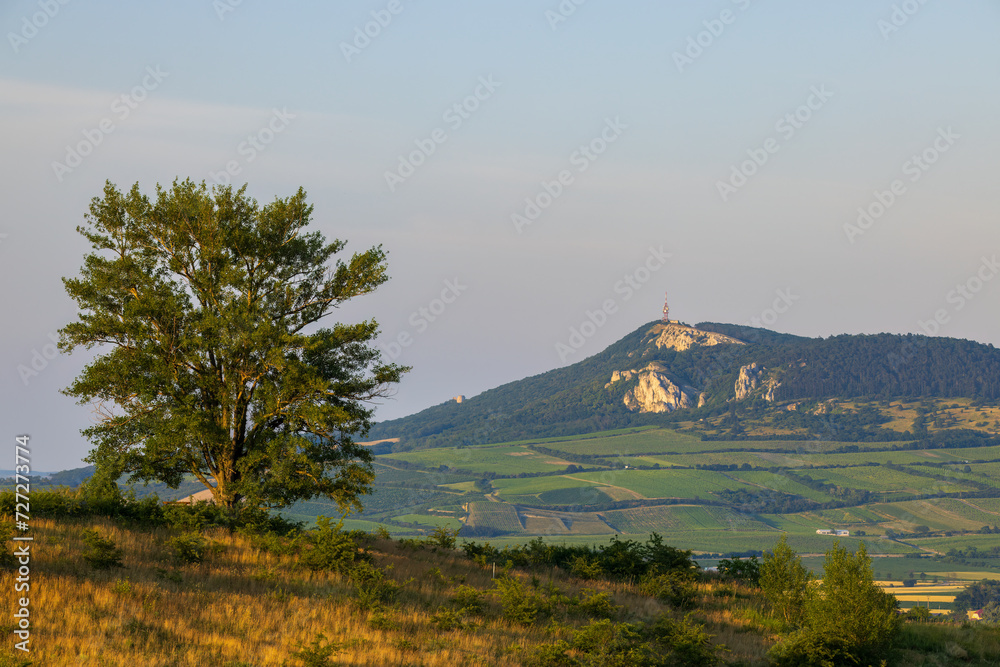 Φωτογραφία Palava landscape near Dolni Dunajovice, Southern Moravia, Czech Republic