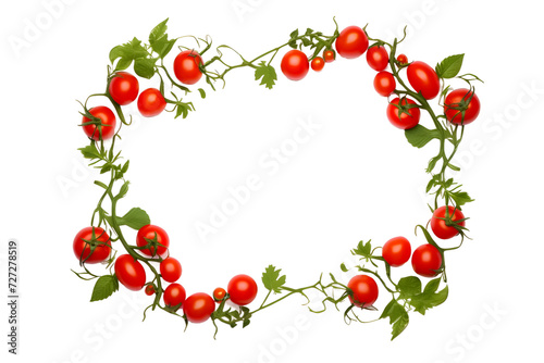 tomato frame isolated on transparent background