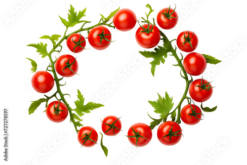 tomato frame isolated on transparent background