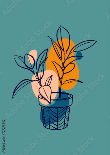 Ficus rubber Elastica Belize, Tineke. Exotic plant, pot. Home floriculture, house plants, hobby. Botanical illustration, hand drawn sketch style. Outline illustrations. Interior Decoration. Peach Fuzz