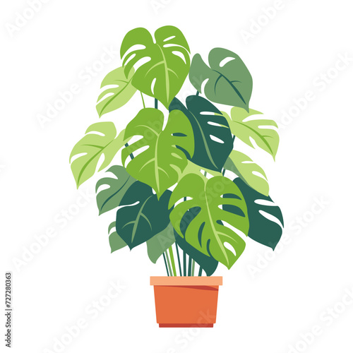 Home plant. Monstera Plant. Potted plant isolated on white. Flat. Vector illustration.