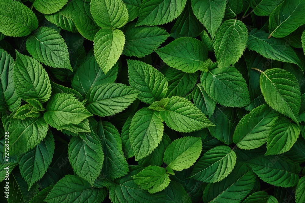 Green leaf pattern on the surface Green leaf pattern on the surface