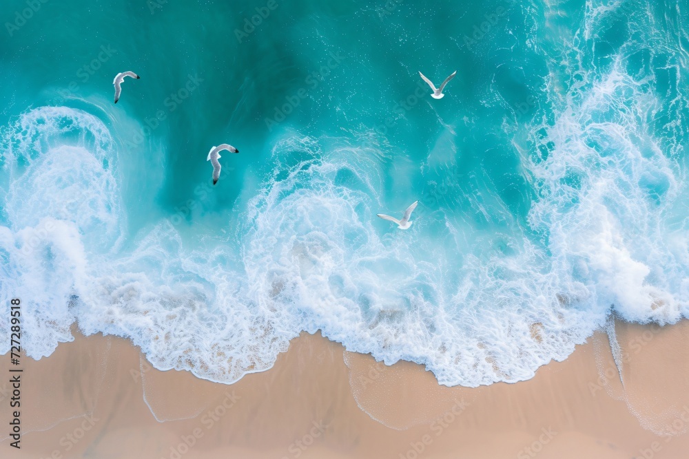 Seagulls fly over the sandy beach