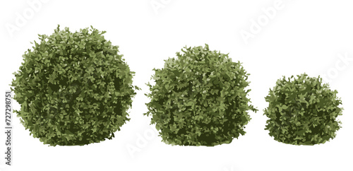 Realistic shrubs collection on white background.Set of shrubs photo