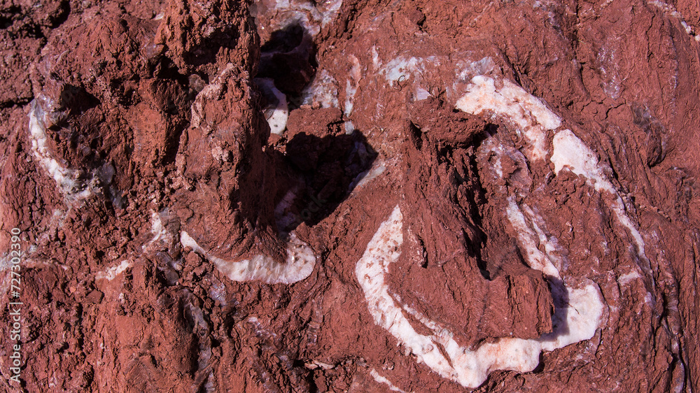 Fototapeta premium Red stones, blue sky, green water