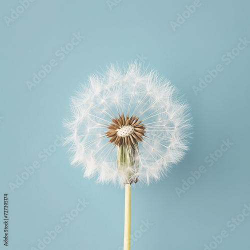 Perfectly Intact Dandelion Seed Head Isolated on Serene Blue Background  Symbol of Change and Persistence