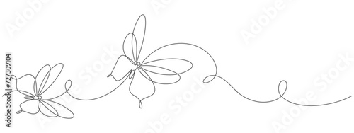 Line art illustration of a butterfly