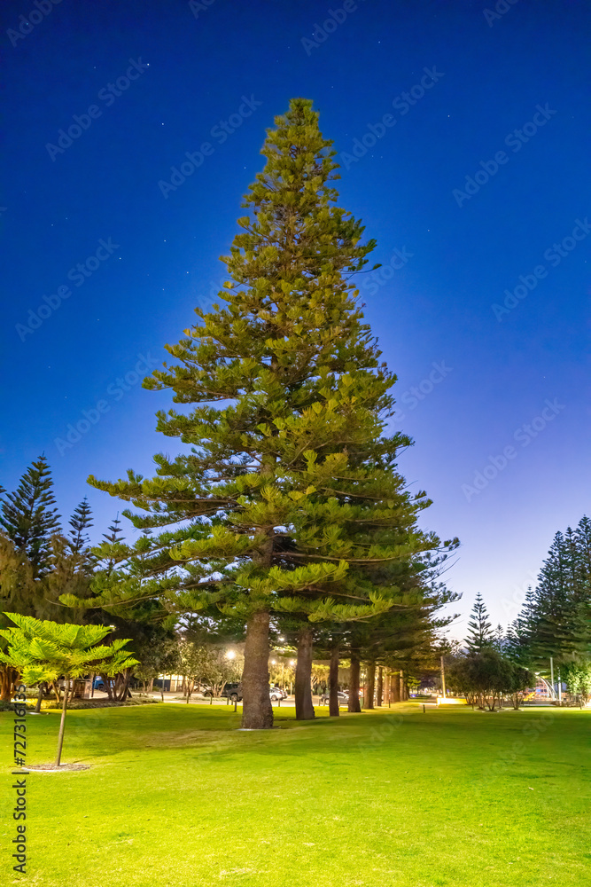 Promenade of Busselton at night along the city pier, Western Australia Promenade of Busselton at night along the city pier, Western Australia