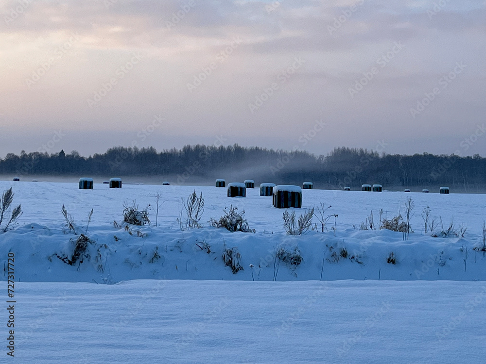 winter, field in snow, sunny winter day