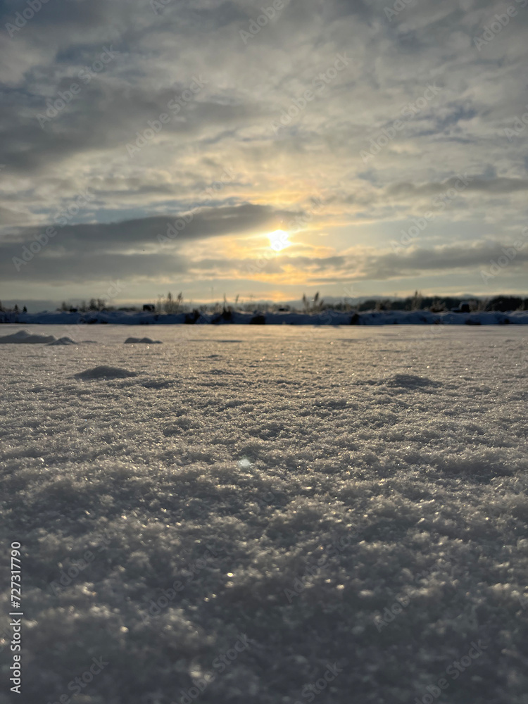 winter, field in snow, sunny winter day winter, field in snow, sunny winter day