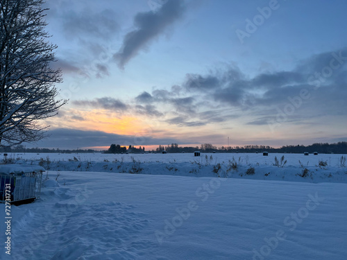winter, field in snow, sunny winter day © Sergey