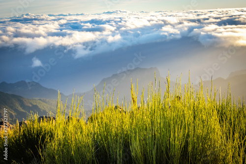 sunrise at pico do arieiro, madeira, trekking, outdoor, view, portugal, mountain, 