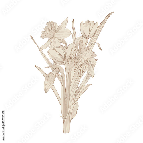 Daffodils, tulips flowers bouquet. Black outline hand drawn sketch of narcissus on white. Vector element for Easter and spring floral design, coloring book, tattoo.