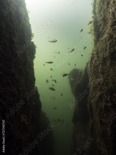 Cracked underwater rock with fish swimming above