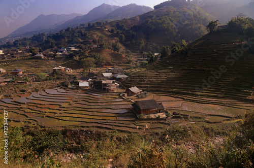 Rice fields in winter in Sapa, Vietnam photo