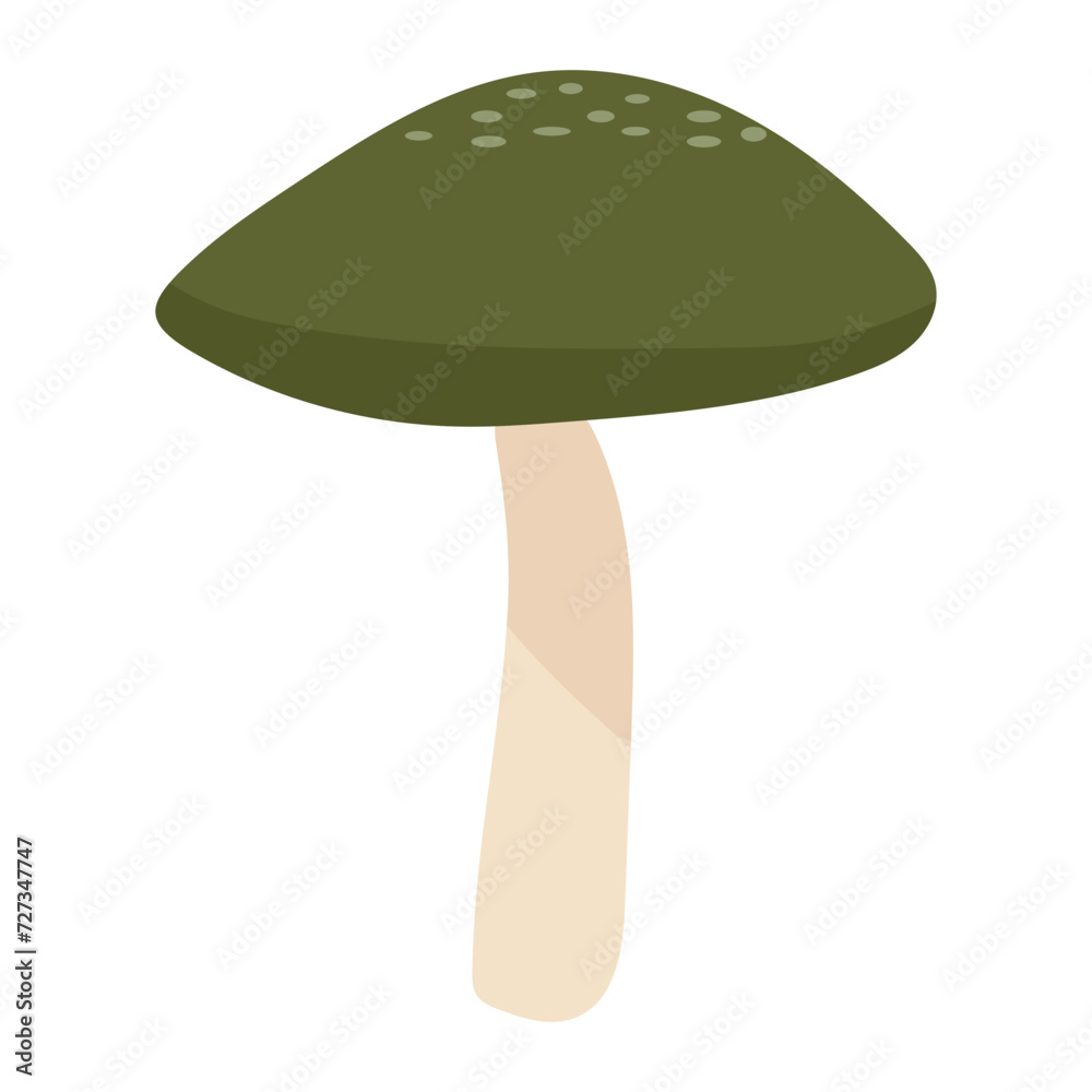 vector mushroom flat color illustration