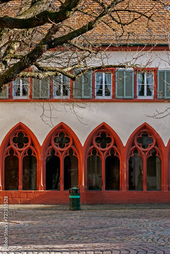 Freiburg im Breisgau, Stadtkreis, Baden-Württemberg, Germany photo