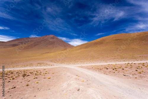 The landscape in Uyuni plateau