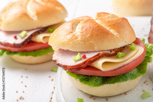 Fresh sandwich with ham, ch...