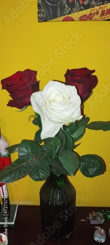 White and red roses in a green vase