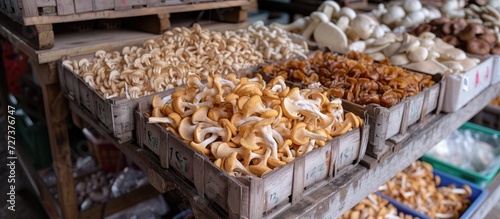 Various types of mushrooms, including clouded agaric, parazol mushroom, summer bolete, Suillus luteus, and Leccinum Rufum, can be found on the kitchen counter.
