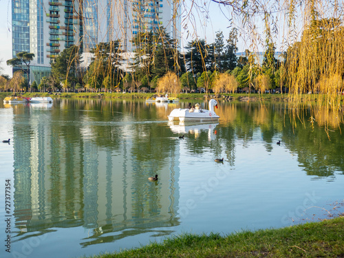  A boat in the shape of a swan on a city lake. A beautiful park at the resort.