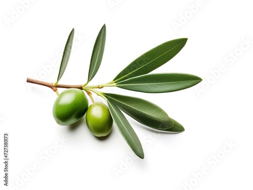 Wallpaper Mural Olive Branch Symbol of Peace and Harmony Isolated on White Background AI Generated Torontodigital.ca