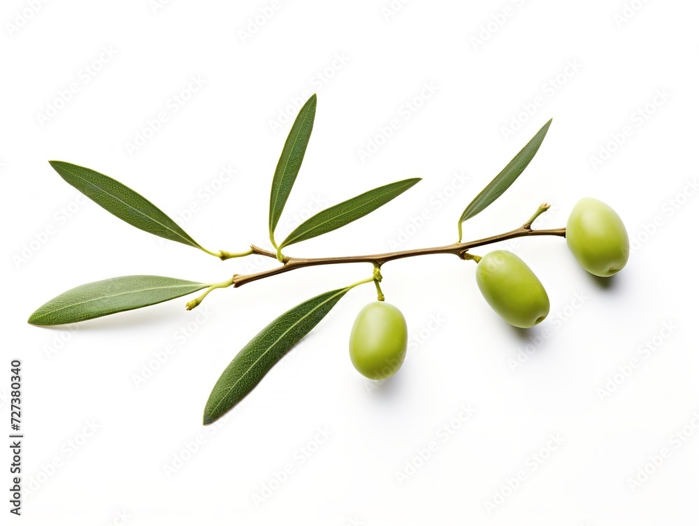 Olive Branch Symbol of Peace and Harmony Isolated on White Background AI Generated