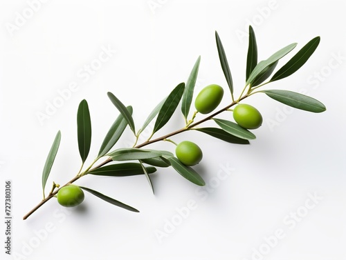 Olive Branch Symbol of Peace and Harmony Isolated on White Background AI Generated