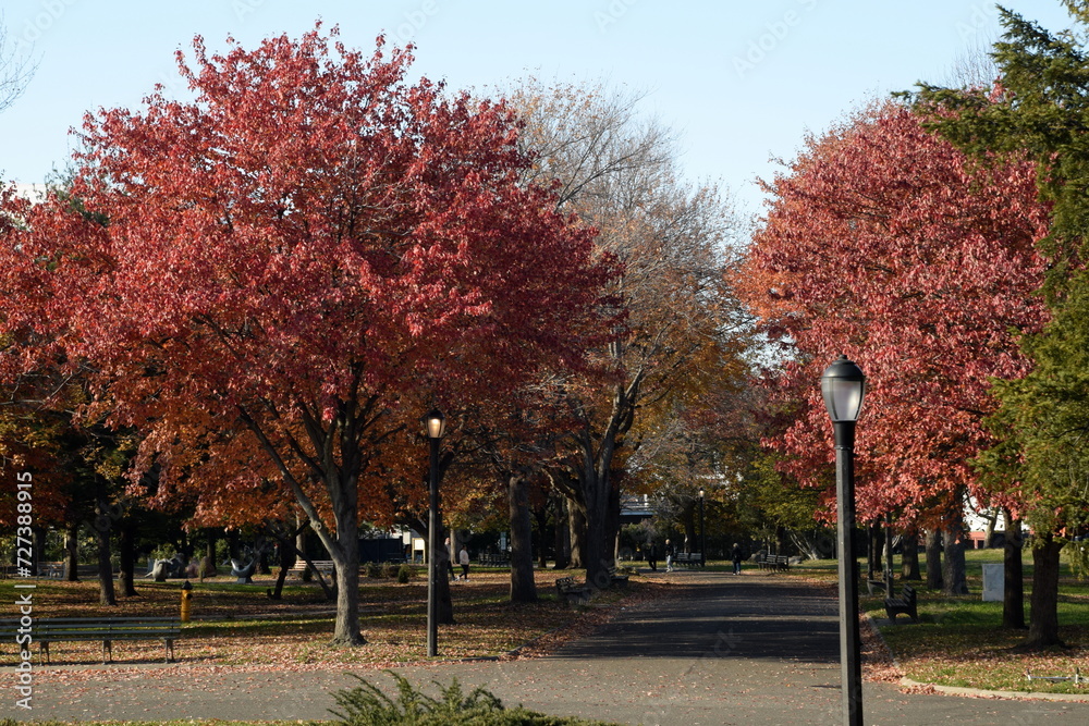 Autumn trees in the park. Flushing Meadows-Corona Park, Queens NY Autumn trees in the park. Flushing Meadows-Corona Park, Queens NY