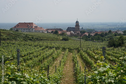 Obraz na płótnie Vineyard above Saint-Hippolyte, beautiful landscape near Colmar, France w salonie