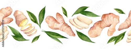 Watercolor seamless border with Ginger. Spices illustration isolated on white background. Botanical illustration for packaging and menu design