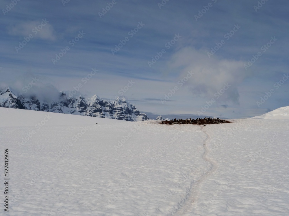 Kolonie von Eselspinguinen am Damoy Point auf Wiencke Island in der Antarktis