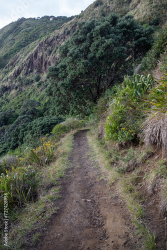 Nature Trail in the countryside Piha, Auckland, New Zealand.