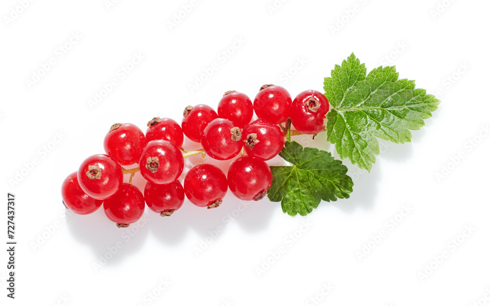 Red currant berries with leaf isolated on white background. Red currant berries with leaf isolated on white background.