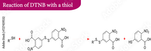 Chemical structure of DTNB , 
 Ellman's reagent.Vector illustration.