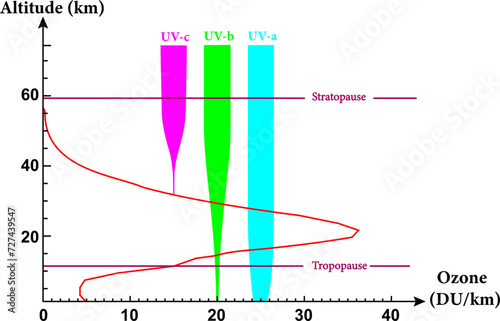 Ozone levels at different altitudes  and blocking of ultraviolet radiation in different bands.Vector illustration.