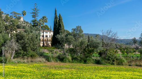 Stately Manor Amidst Verdant Gardens and Blossoming Fields in Mallorca