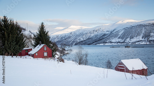 Typical cottage in norway