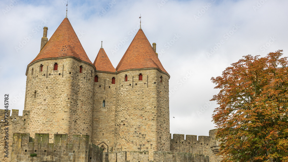 Obraz premium Castle of Carcassonne in France