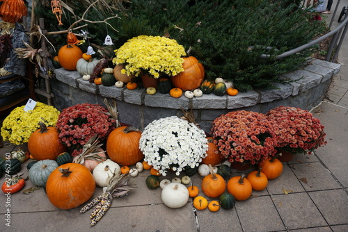 pumpkins and leaves