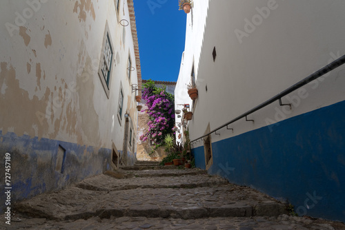 Street of the beautiful medieval village of Obidos, Portugal, with its typical white and blue facades and flowers.