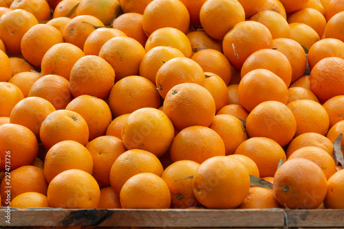 harvesting of organic and sweet oranges