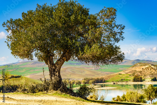 Spanish nature landscape in Andalucia.
